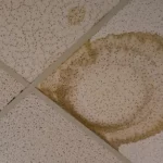 leaks in office ceiling