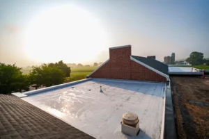 flat roof on a school building